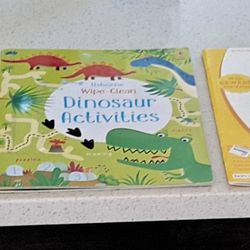 ONLY $5 Kids Learning Books And Flash Cards