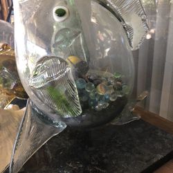 Glass Fish