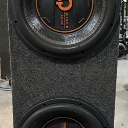 2 12 Inch Subwoofers 