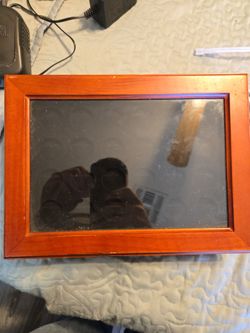 Coin case for gold coins