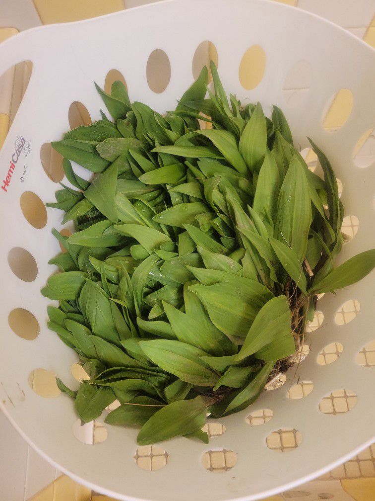 Ramps For Sale 