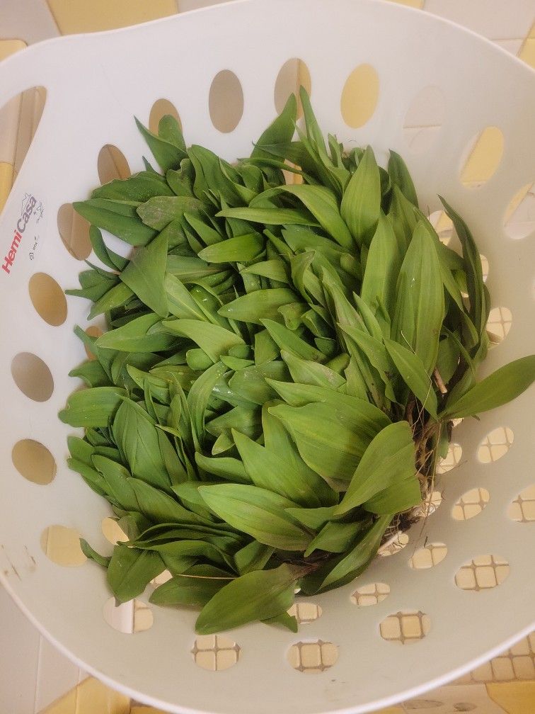 Ramps For Sale