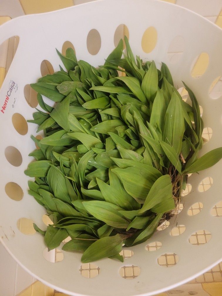 Ramps For Sale 