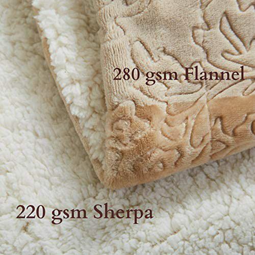 63x87 Embossed Cuddly Fluffy Cozy Bubbly Champagne Beige Super Soft Warm Plush Sherpa Throw Blanket for Sofa Couch 63x Twin Size Bed

￼

￼

￼

￼

￼

￼