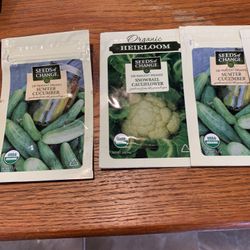 Seeds