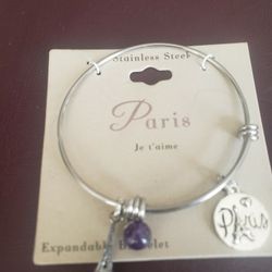 STAINLESS  STEEL  BRACELET 