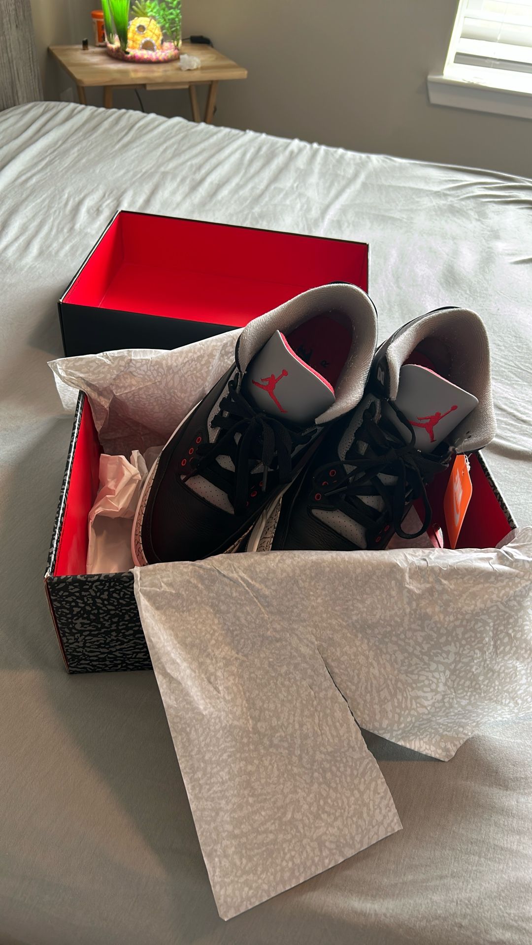 Jordan Cement 3’s Size 11 Men