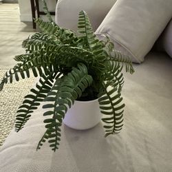 Faux Plant 
