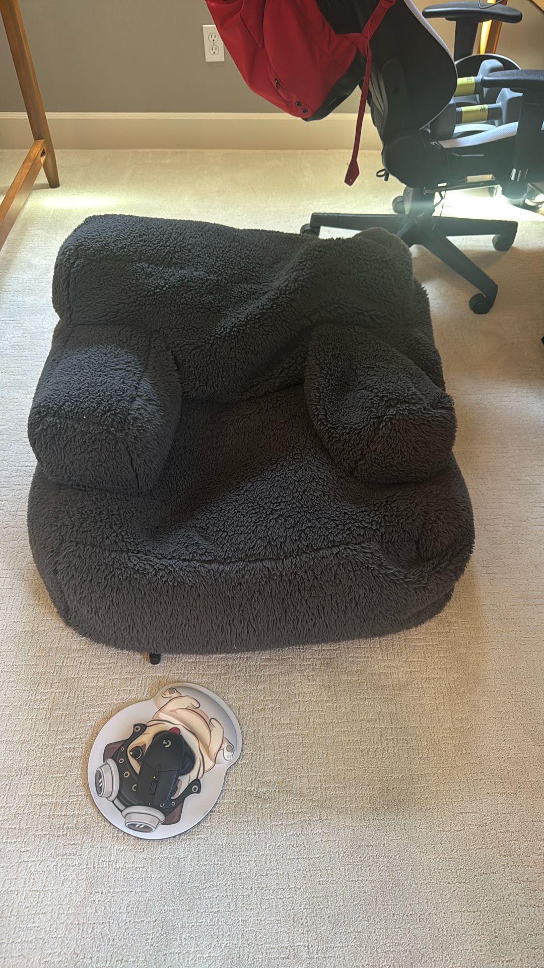 Pottery Barn Teen Bean Bag Chair