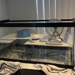 Fish Tank 45 Gallons 