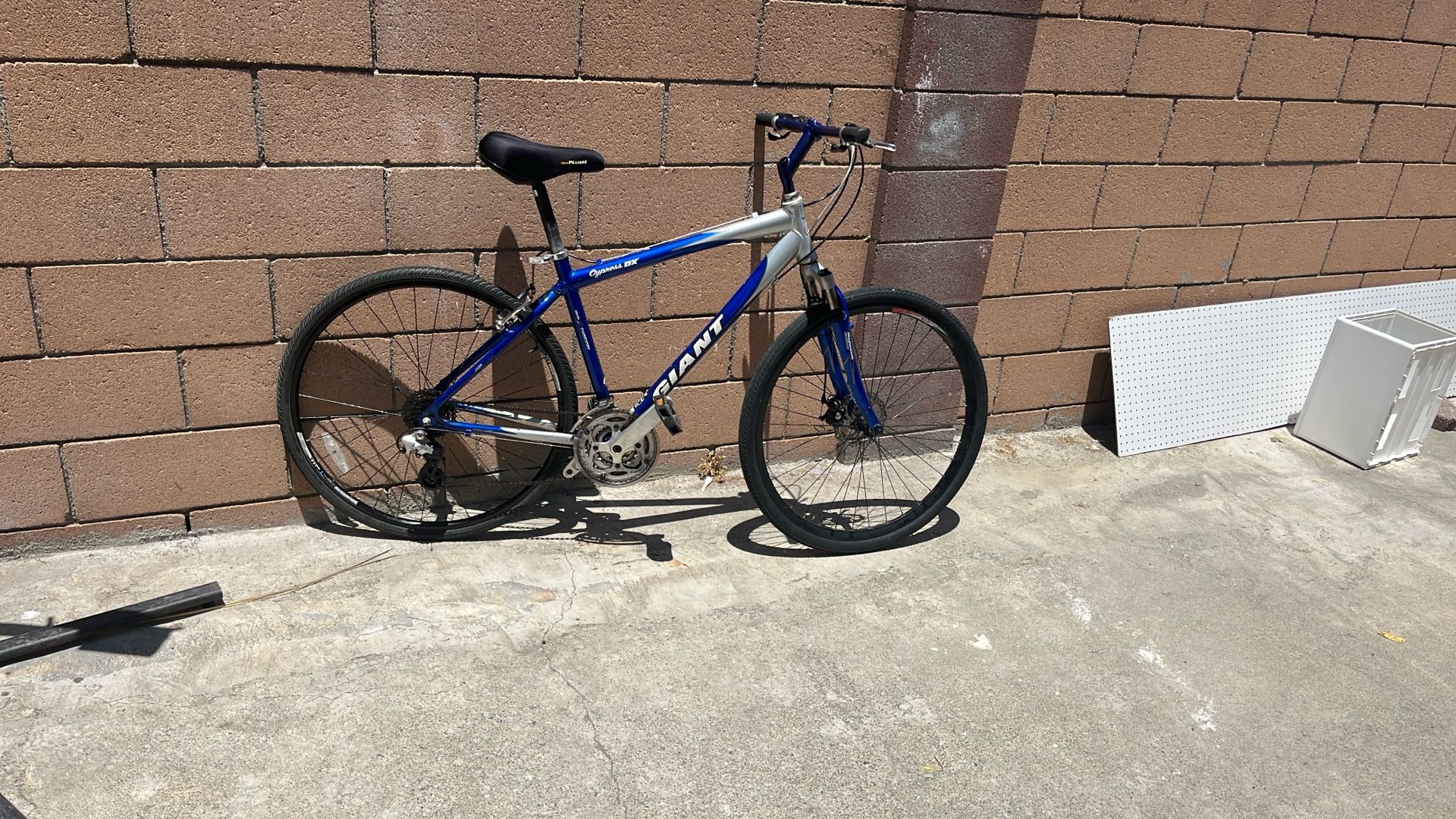 Giant Cypress Bike