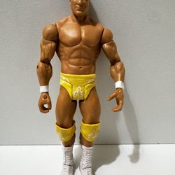 WWE Alberto Del Rio