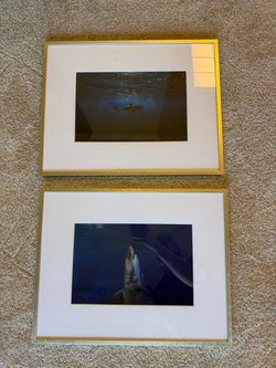 Gold wall frames for 11.5”x 7.5” photo