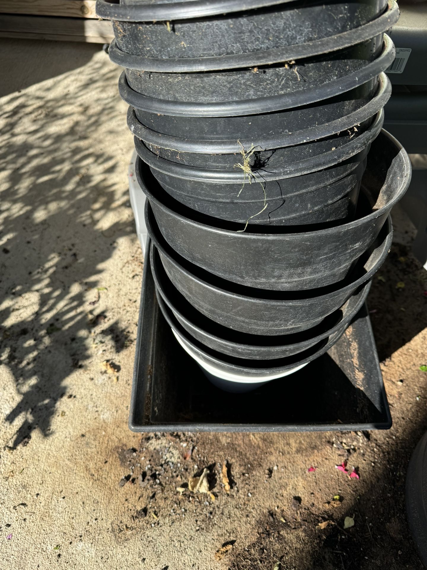 Free Planting Pots