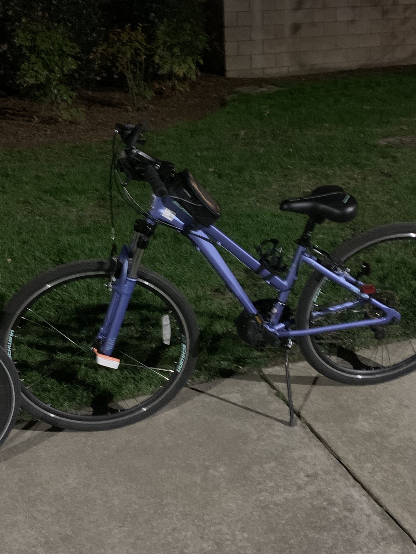 Schwinn Women’s Trailway