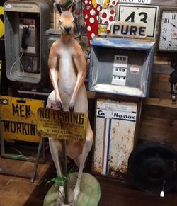 Life size kangaroo