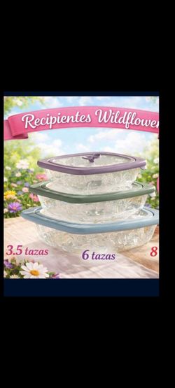 JUEGO DE TRES RECIPIENTES WILDFLOWER PRINCESS HOUSE 🌷⚘️