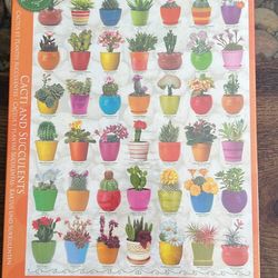 1000 piece cacti and succulents puzzle