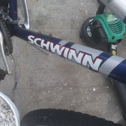 Schwinn Bike