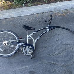 Kids’ Bike Tag Along 20 Inches.