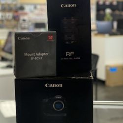 Canon R1 // RF 24-70 F2.8 // Canon Adapter