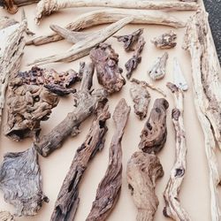 Mother Nature's Artwork 