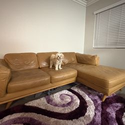 Article brand Real Leather Couch