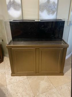 55 GALLON ACRYLIC CLEAR FOR LIFE AQUARIUM / FISH TANK WITH GOLD STAND & (BUILT IN) BLACK BACKGROUND