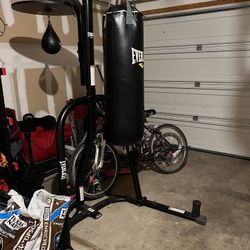 Everlast Heavy Bag Stand w/ 70 lb Bag & Speed Bag – $150