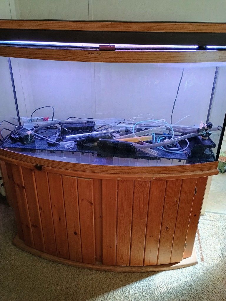 Fish Tank
