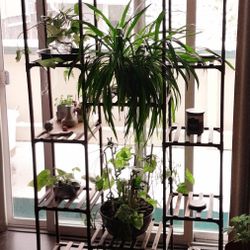 Plant Stand