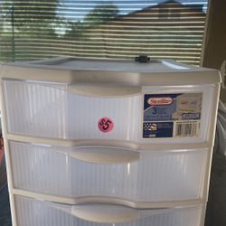Organizer