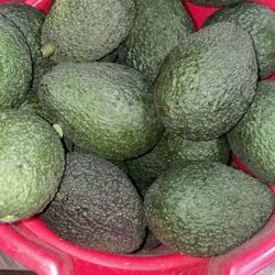 Avocados 🥑