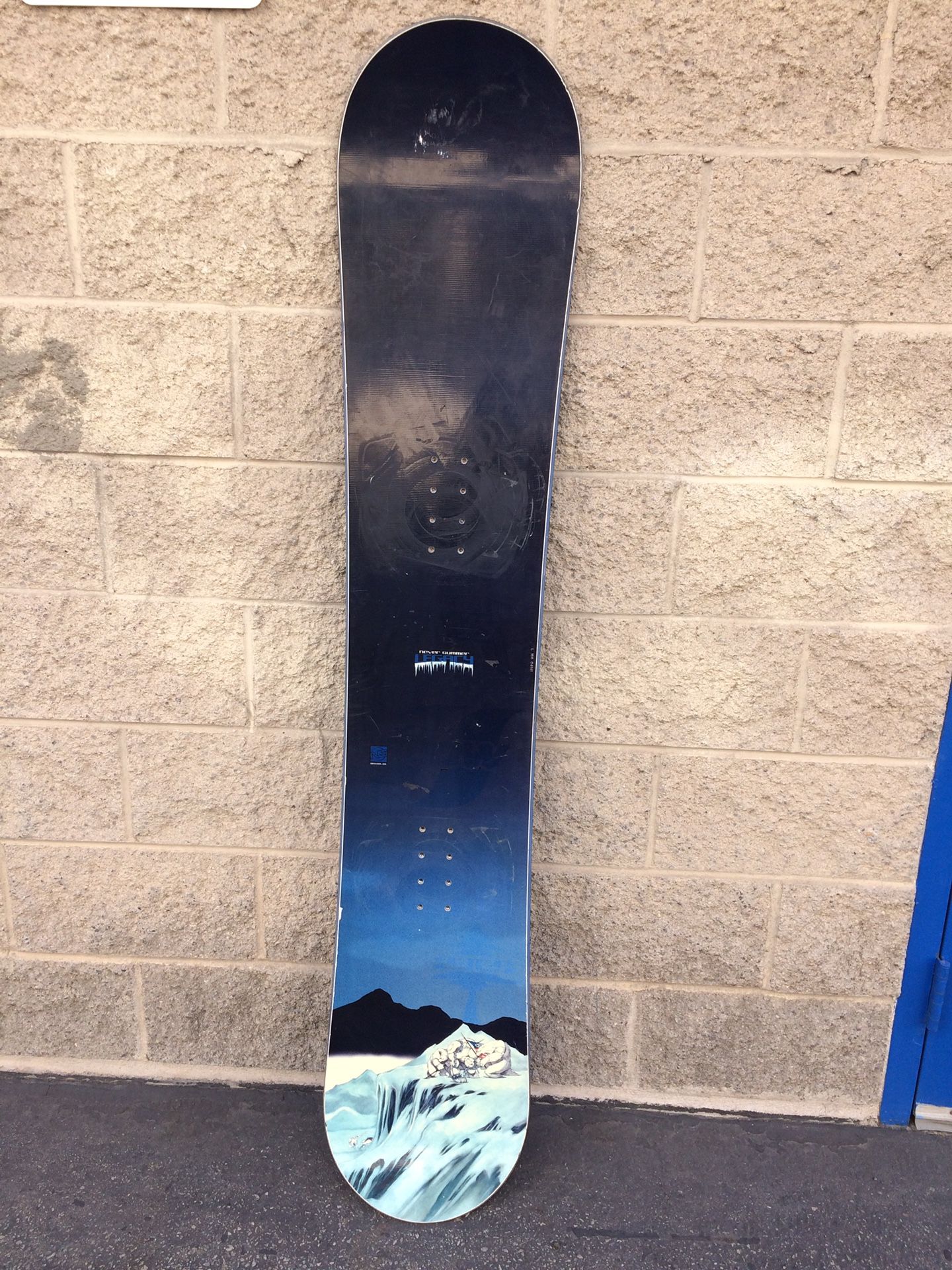 snowboard 166 cm. never summer