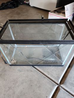 Aquarium w/ warming pad