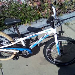 Boy's 20" Specialized Hotrock Bike 