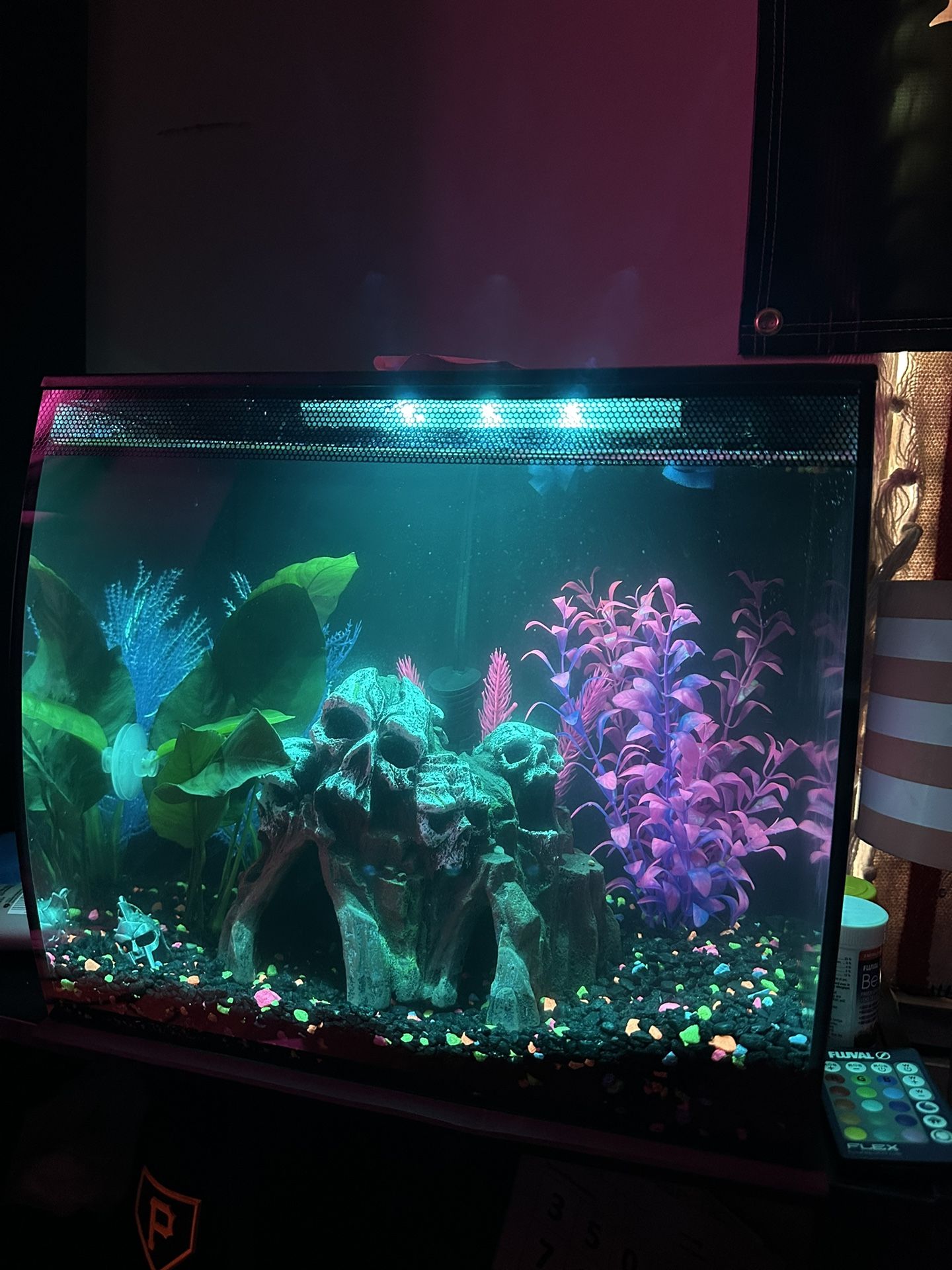 Fish tank and accessories