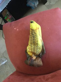 Flapping fish for cats