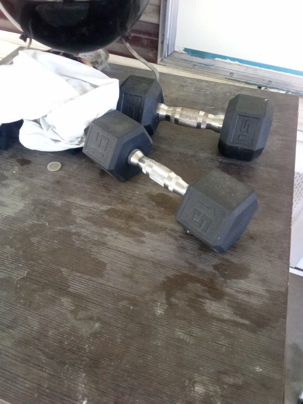 Gently Used 15 Pound Dumbbells