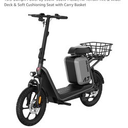Adult Electric Scooter With Seat