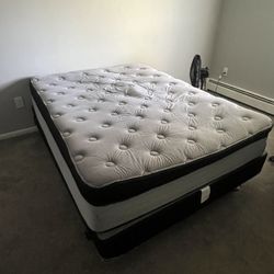 Queen Sized Bed, Box Spring, and Frame