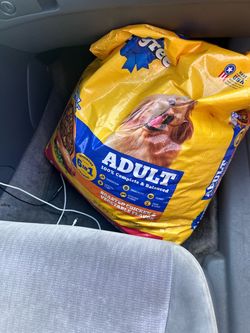 Dog food