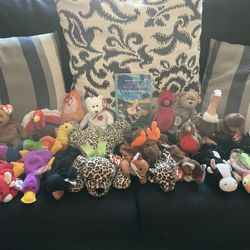 Beanie Babies Collection 
