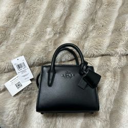 Mini Coach Purse 