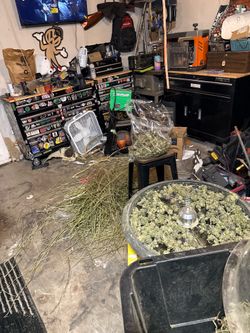 Trading trimmings