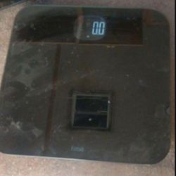 Weight Scale Travel Pesa