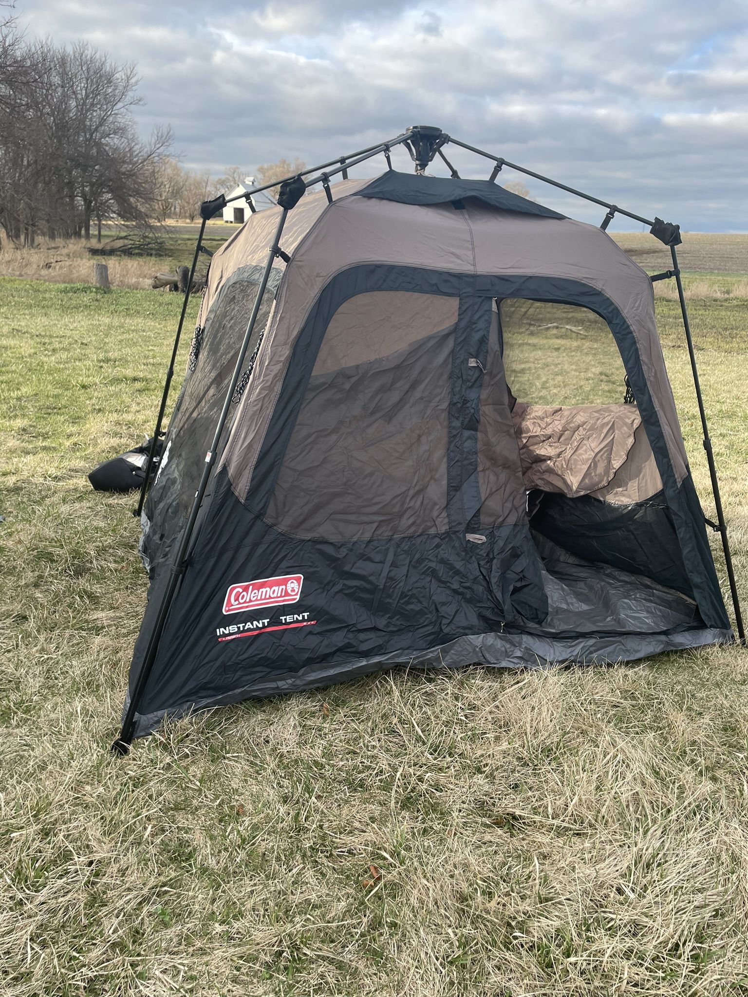 Coleman 4 Person Insta Tent