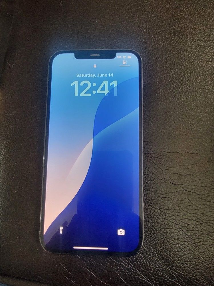 IPHONE 12 Pro Max 256 GB