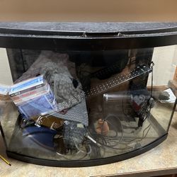 Fish tank setup