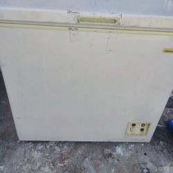 Deep Freezer Works Great